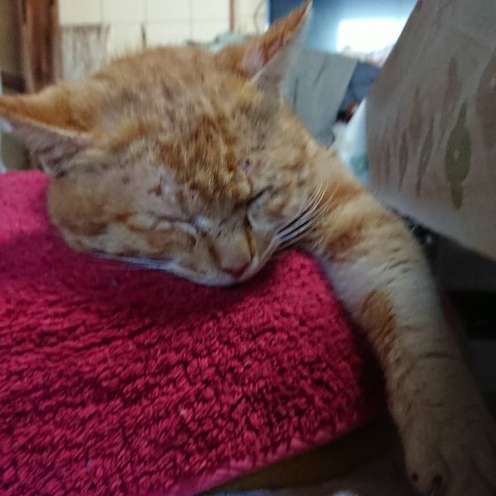 778c3d97 a5b5 443e 8ade 21dd1c442c53 1550980945799