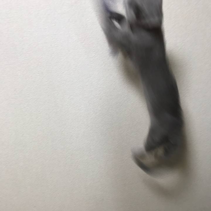 778c45d4 9bfb 402b aba3 594db977266c 1519656929196