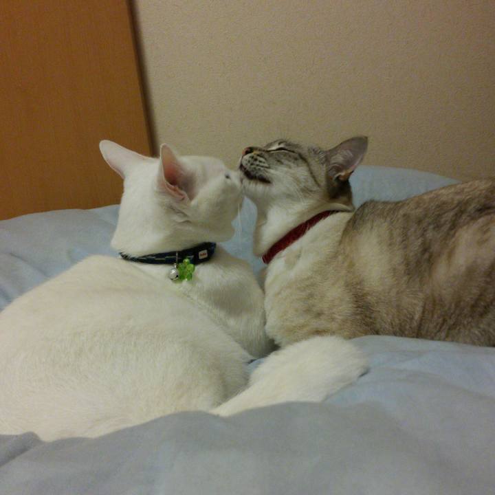 778c78a3 45e8 497f b36f 43deb635ed09 1518277188919