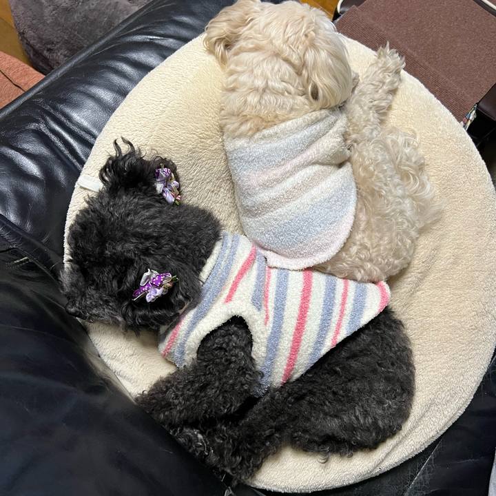 778c7f10 3093 4980 9fde adc11d25642b 1770024075199