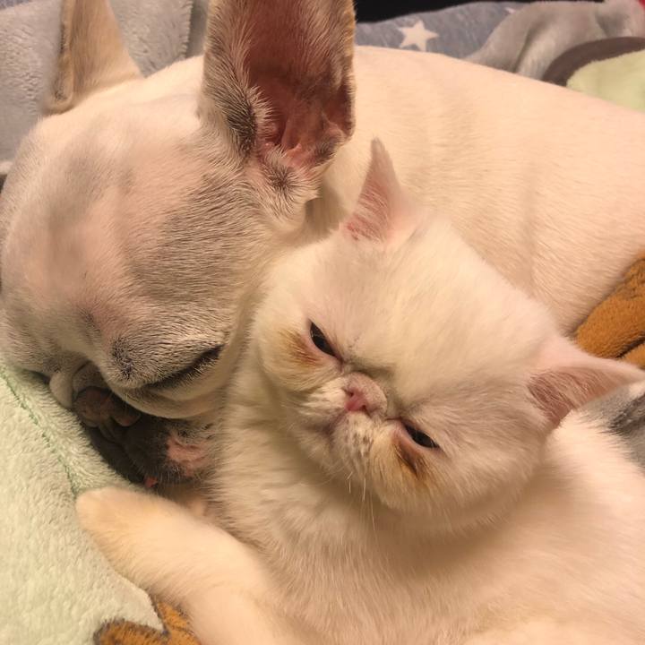 778c83e3 1bf4 4300 9b6e 12ce369520fc 1547217344895