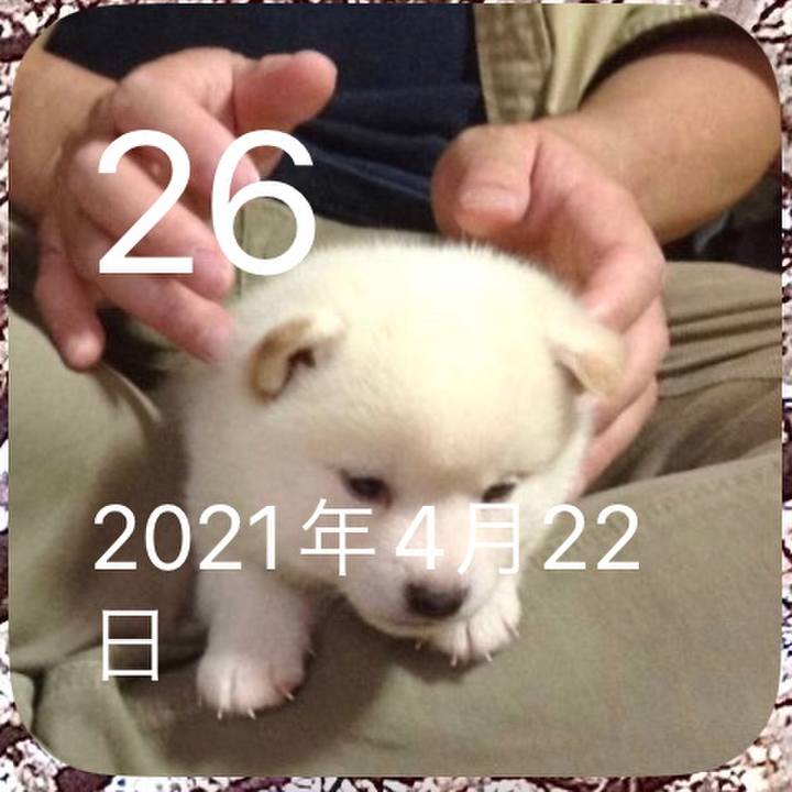 778ca47c 2e36 48c8 bbea 95f2d57acd45 1682467746870