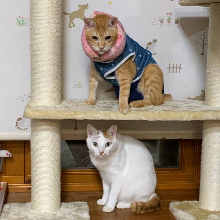 778cd5a1 8764 49ef 9836 51f32b56fdb3 1629994957016