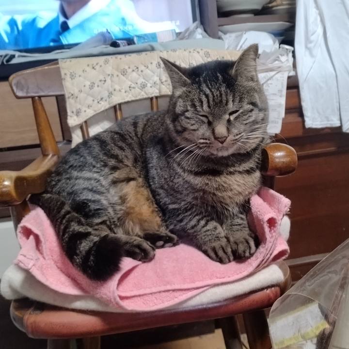 778cd929 180d 46c1 89ac f558faa47e95 1705538992583