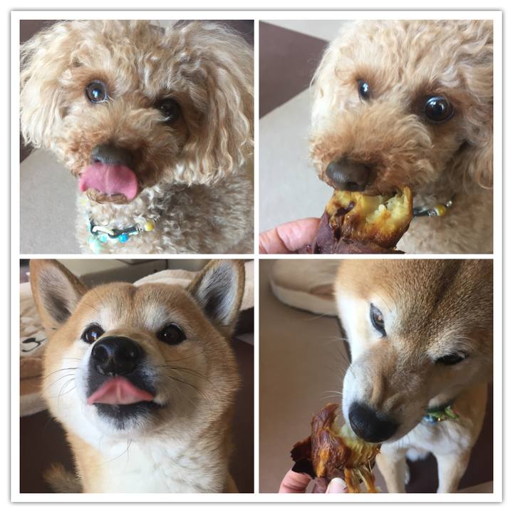 778ce1af 3b31 46ce 98d8 2e31ed360ee6 1517027545045