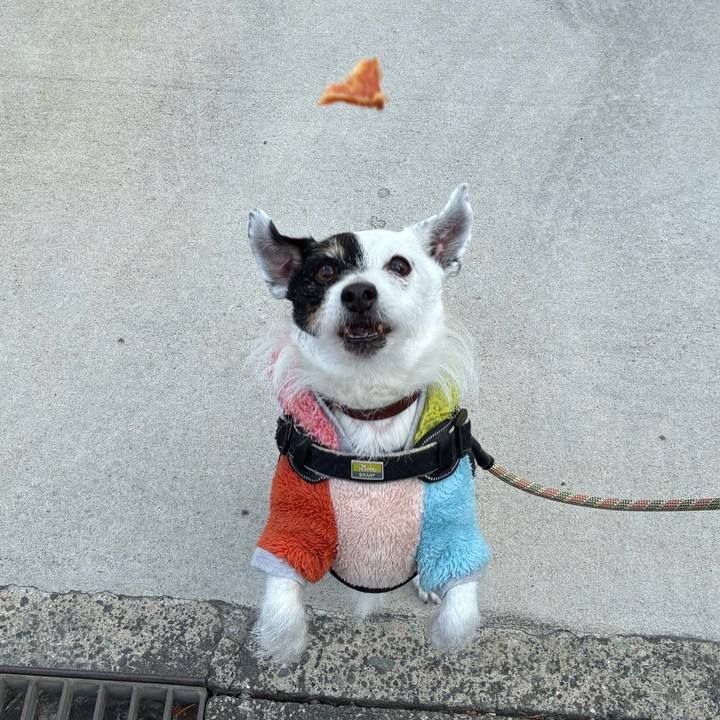 778cff6f 4af5 418b bcdd 575484dc6bd2 1770682549930