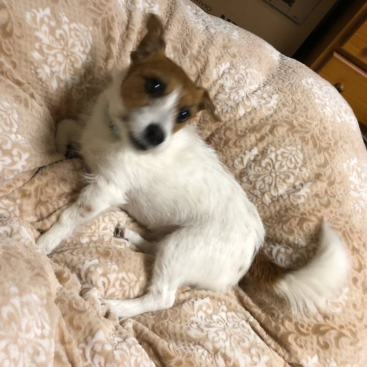 778d1b1d e756 4c79 a751 c57b1d00005a 1521616074690