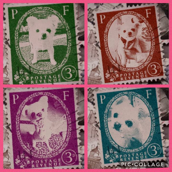 778d3239 9bac 4187 a495 925031f372a2 1570070935549