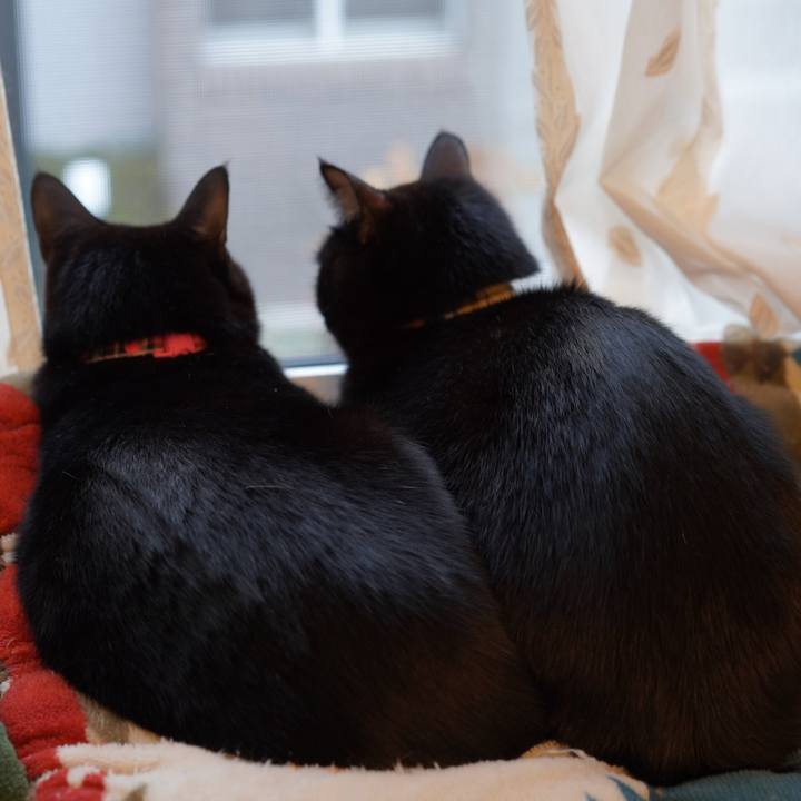 778d4972 3d37 4947 aab0 1f396607b701 1579219999906