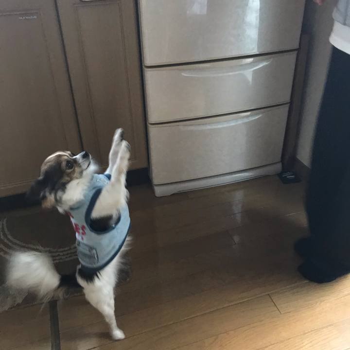 778d61e2 0bcc 49ec b750 163f870525ee 1543506064002