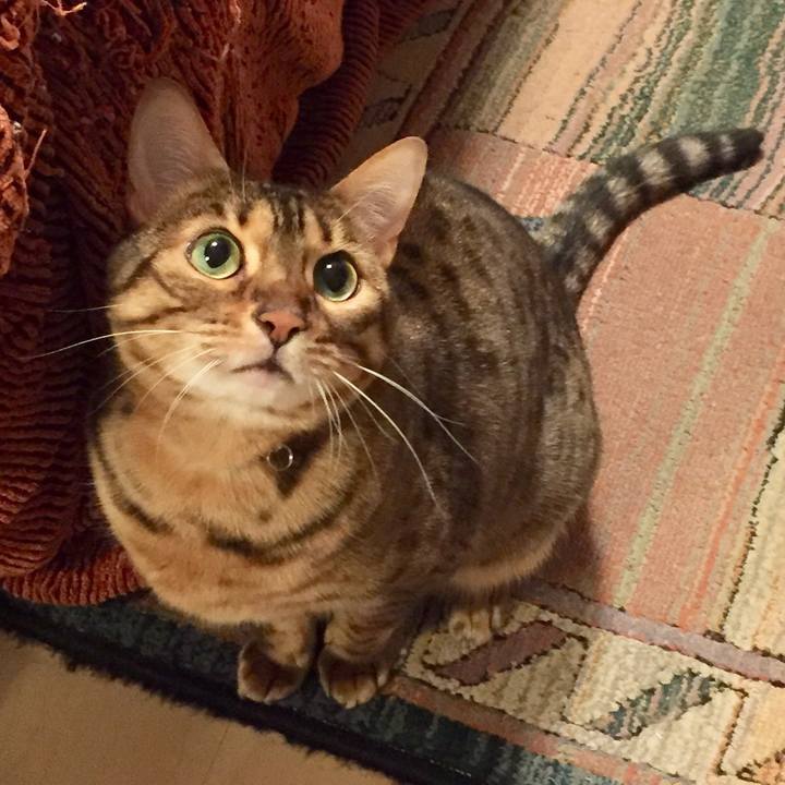 778d71e6 b52b 4034 9582 43b8070bb0f5 1518131887264