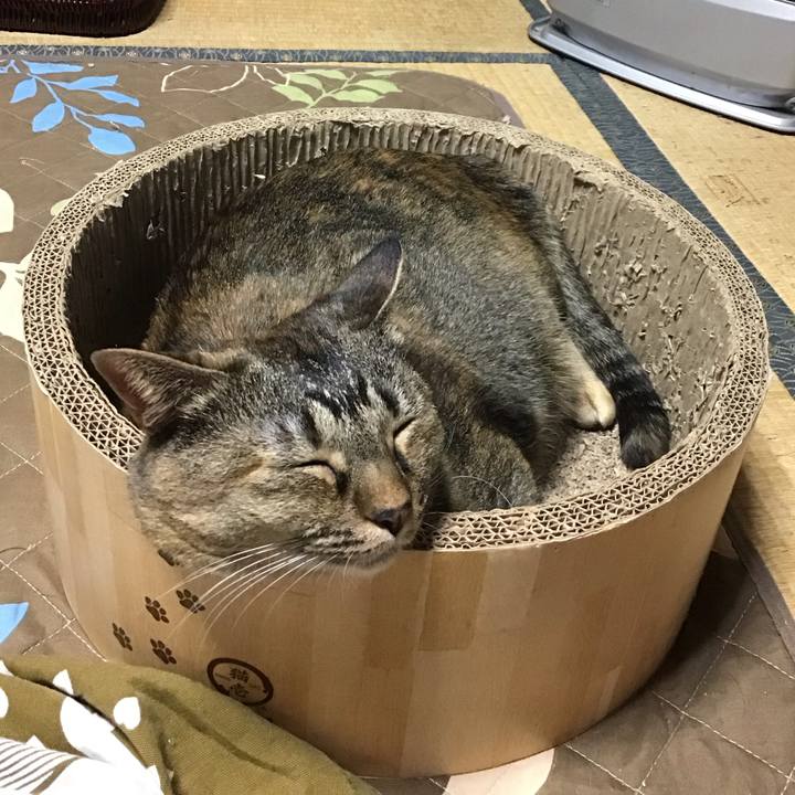 778d7b57 c93a 46d5 a928 b733b30e2fa7 1732784356805