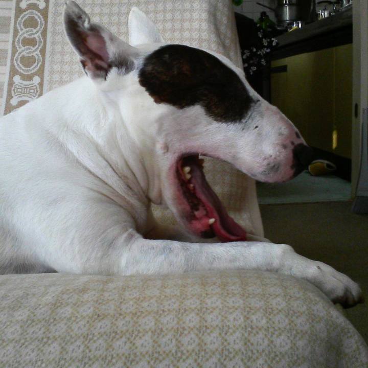 778dee1b 18c4 45c8 b806 8ae0c85d892f 1521965441505