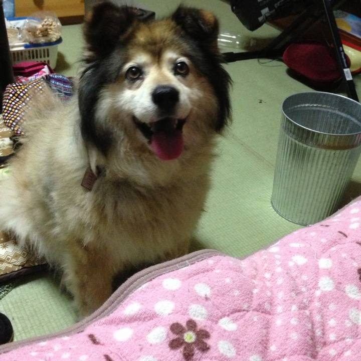 778e1520 fbe7 4dfc 86dc 659c66c36eeb 1579265363743