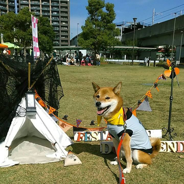 778e1be2 24a7 4f54 9d5c a1eab1be87e7 1572095131897