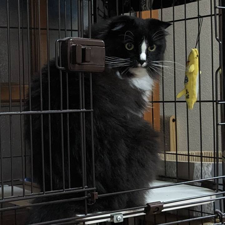 778e2a53 8fbd 4e03 939b c31e7a931bb9 1718601365580