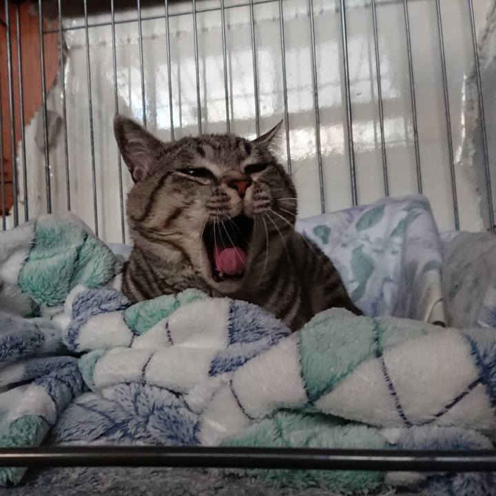 778e3cdb 4fa5 471f a505 c5cbcbf23323 1541055799578