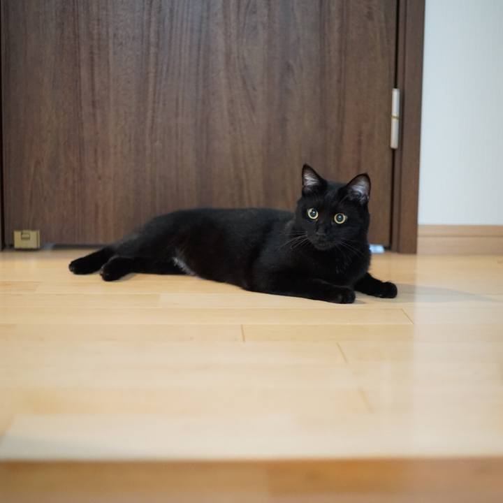 778e64fe bd15 4f88 a4dd e3ac996c042e 1529538885130