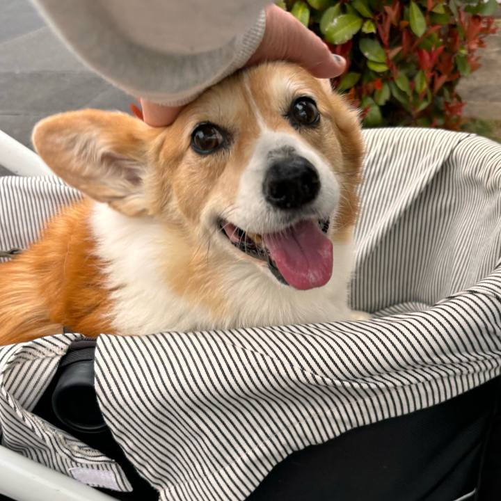 778e6761 1270 4b90 bb71 3dfa9b4158d3 1774943148058