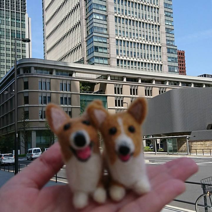 778e7de3 1222 4c27 b924 bd332cb9991c 1555762160491