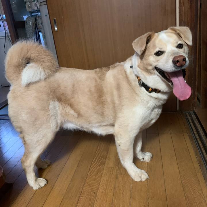 778ec202 ee1a 40cb b569 6594a397e7b6 1583810298549