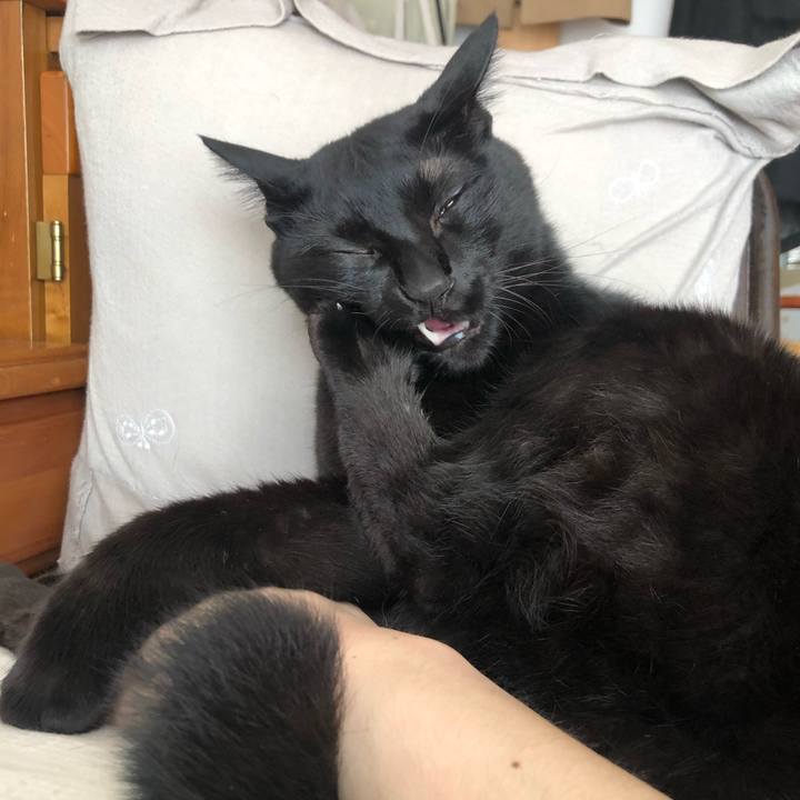 778ed9db d608 4294 886d 5793bfee14f5 1574475377891