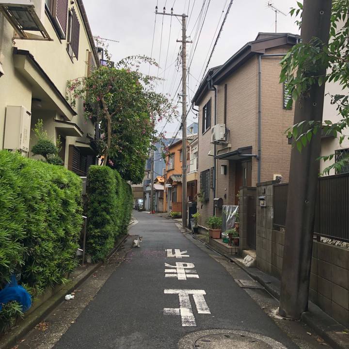 778ef5cc 3d66 44ce 8cab e8b62ab47ab0 1569071094991