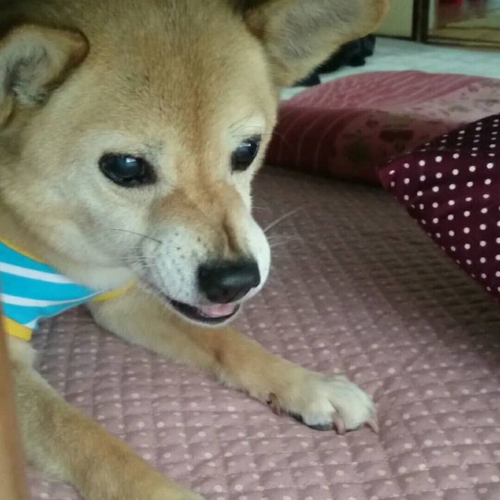 778efc75 e9f9 481d ade5 87f67a4d1cbb 1528807345169