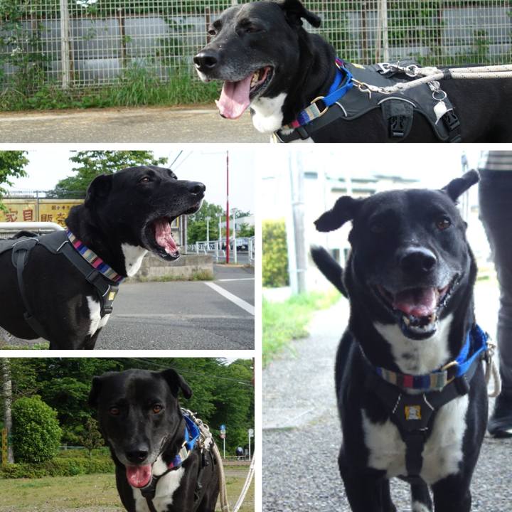 778f1e15 73b2 4226 9a65 c5d9c529674a 1651799826964