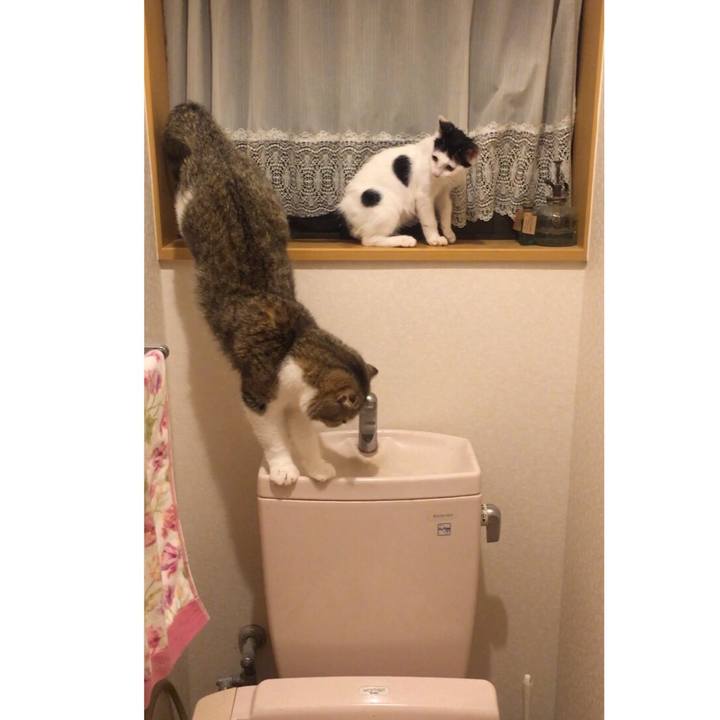 778f20b3 fdd8 4aca a1f8 87affe140784 1532287261592