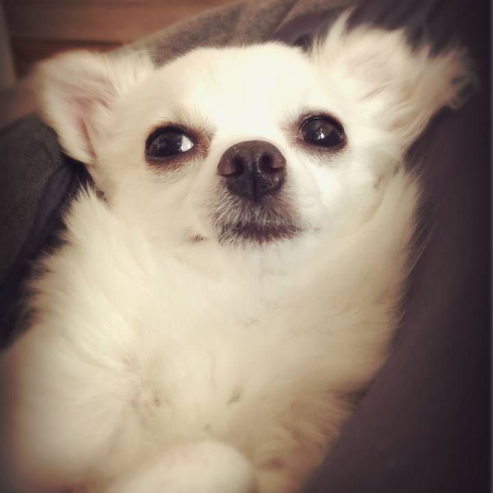 778f9ca3 897b 4fbf 8dc1 9c43a18b286c 1555661754798