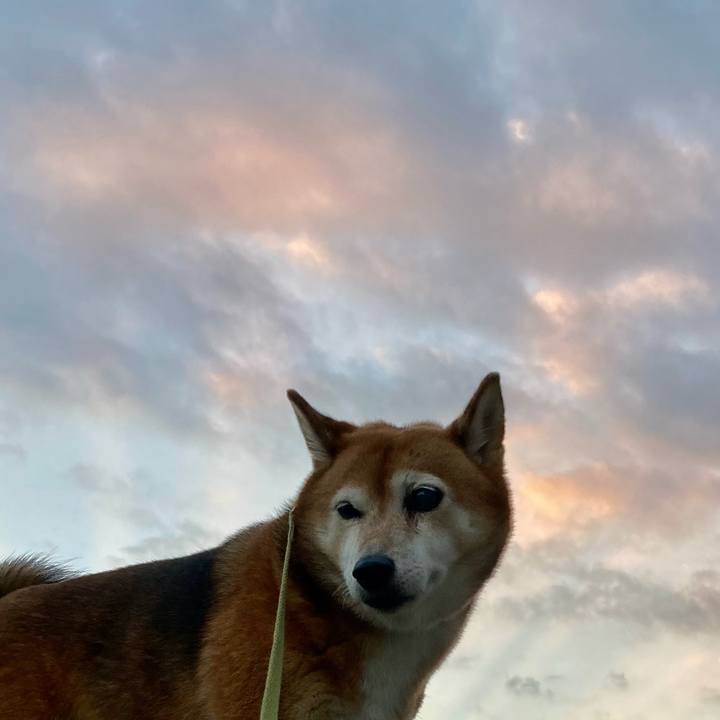 778fa376 5bda 4e7e a30d 9cb3c93f5149 1634288816034