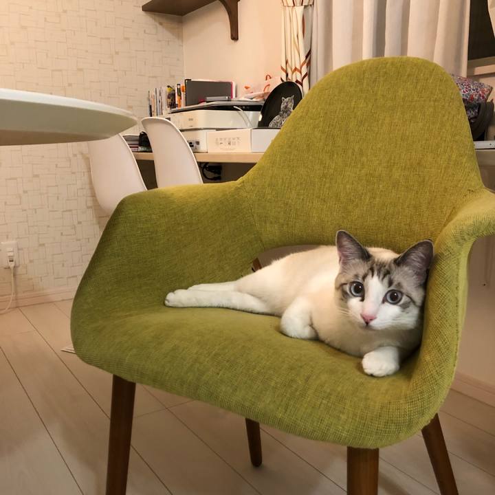 778fb369 617e 40ad 86a6 2a2b90a846b1 1521728827113