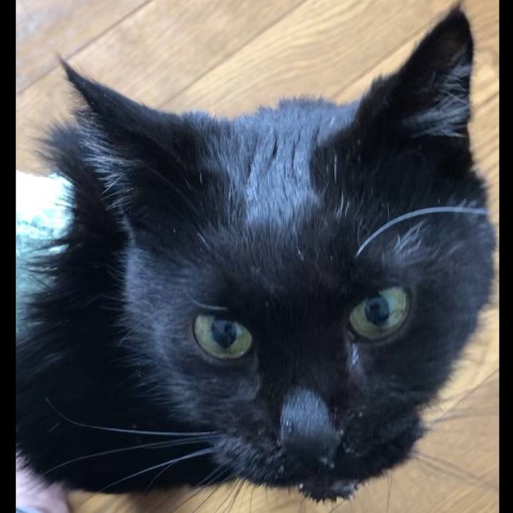 778fd3ef 7791 4f7d be33 88369b10cf18 1660916045466