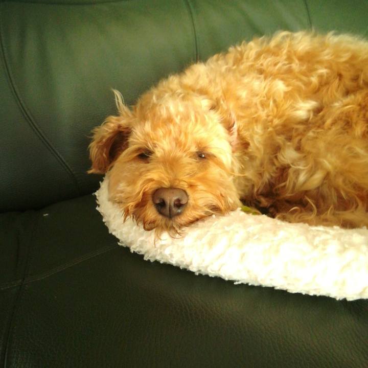 778fe28c 3854 4ace 8807 eec314c9bef9 1530831175282