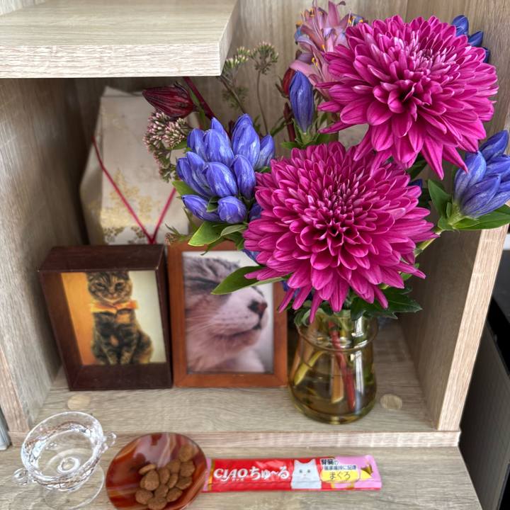 778ff551 5e69 4174 8314 cf6940ae7a5b 1758789446878