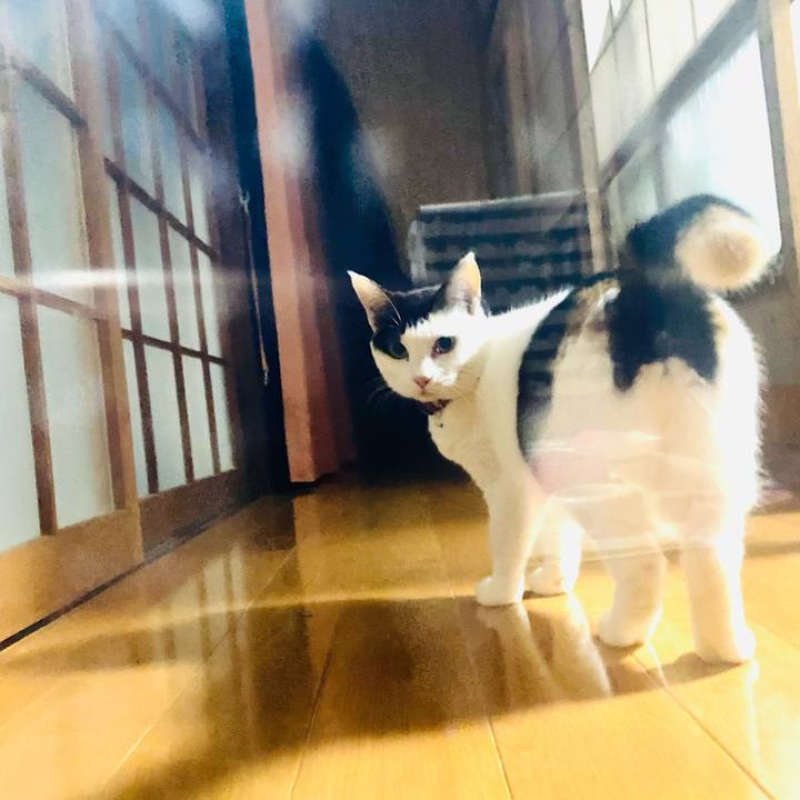 779003ee 0eee 4bc5 af39 524e0db5312e 1670105037866