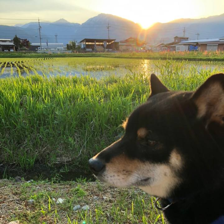 779025c3 df31 41f0 bdd8 8fe23199ed29 1558700085229