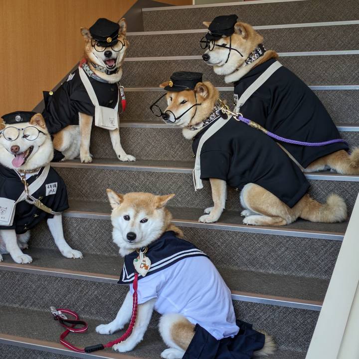 77907210 53fc 47a7 b42a fba84177cc26 1714370108955