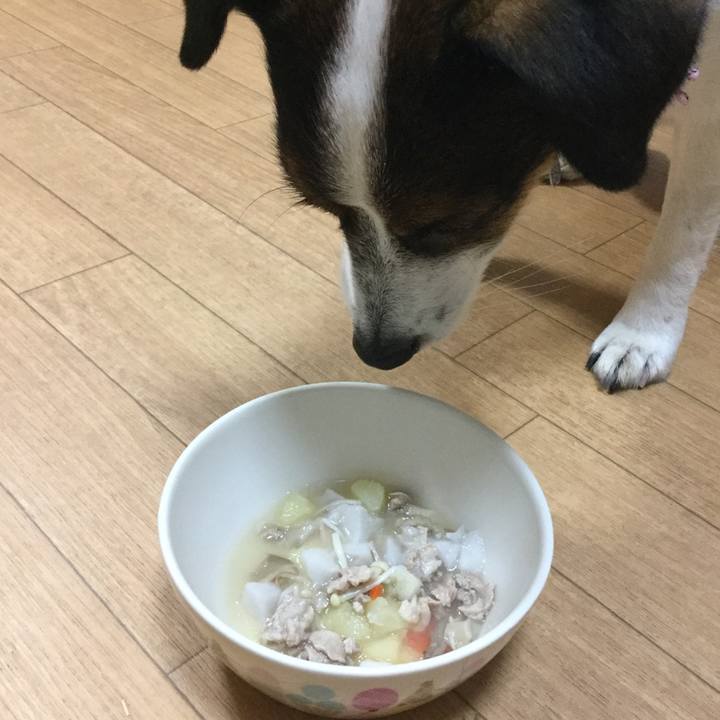 7790cc84 a22b 4cfe b9bb aa2a5c114e84 1548320793466