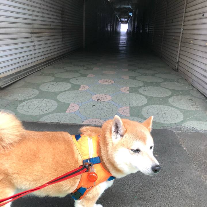 7790e81e 81a6 42f3 81ed cd675b110b26 1590325233923