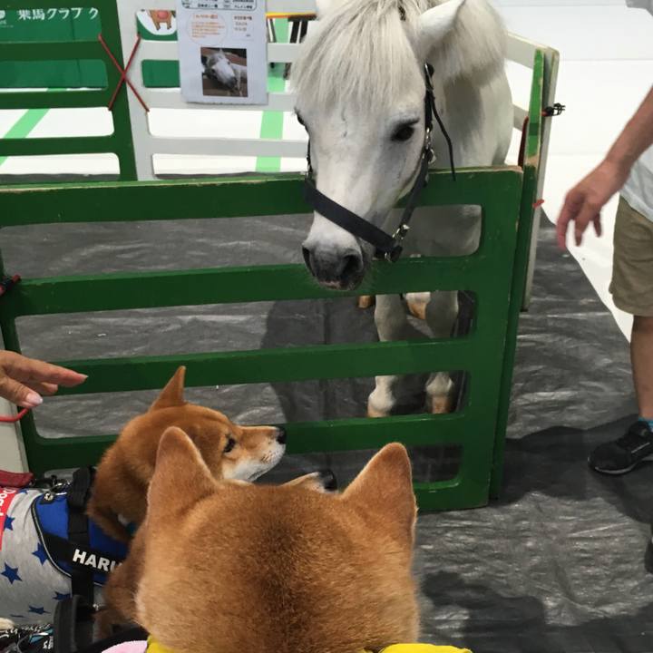 77910892 51bf 4f8c 9451 0ebb0488943d 1566636916681