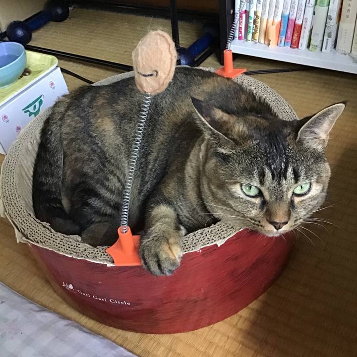 779114ee ad2e 4fb3 857c dc621aca300b 1693913730808