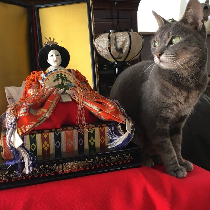 779122f2 615b 416f 95bb b9a0a16c10c8 1582520984053