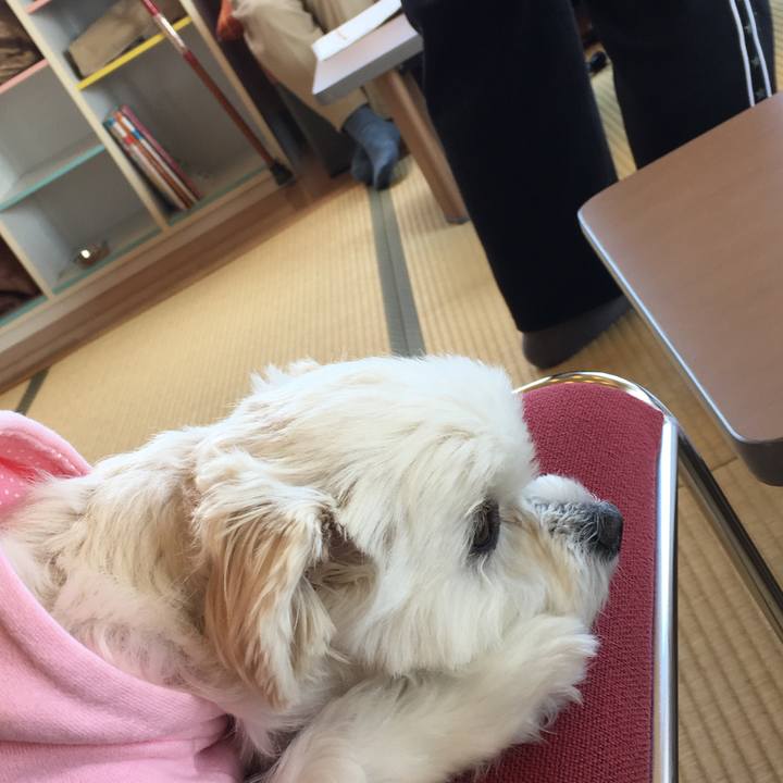 77913bcb 9c03 4bac 8fbe 473b4ff41b8f 1510884335193