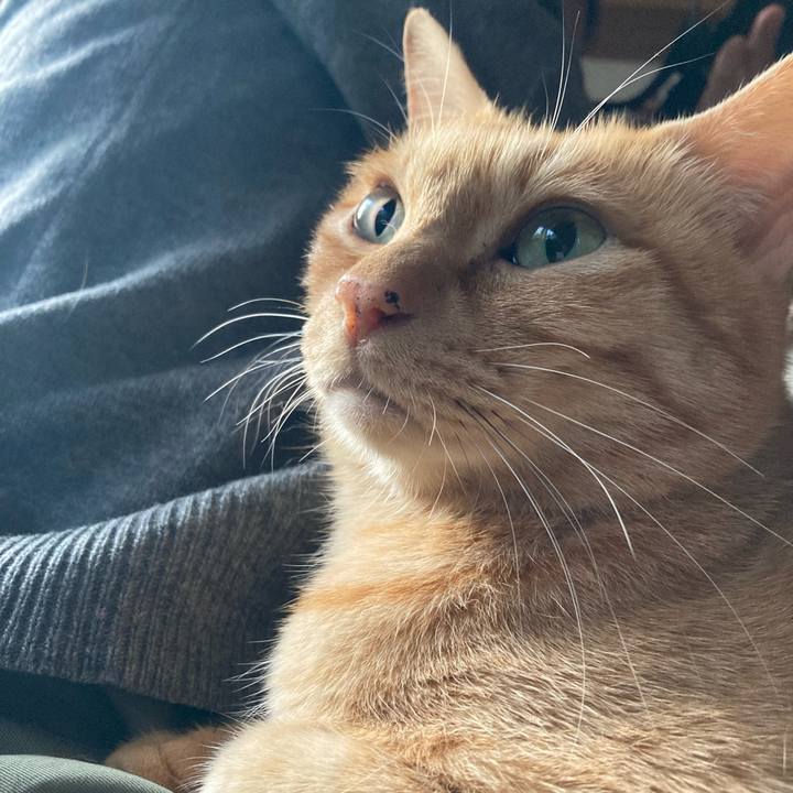 77913c8d a0e3 4507 9d91 a4280a574558 1730334161528