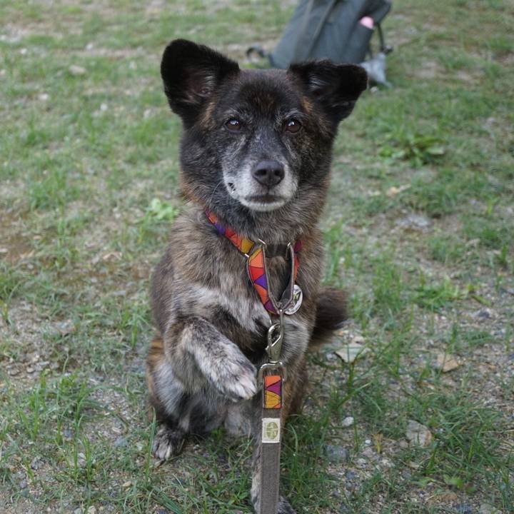 779150eb 9532 462c a3ad 2728d548f766 1601031785659