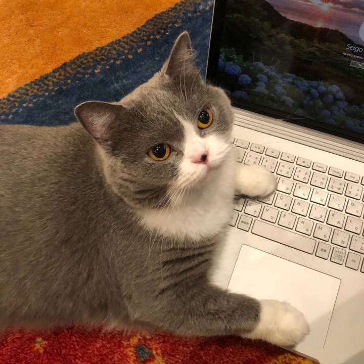 7791ec04 fdb2 47e4 a28b abdfd10b8187 1529476052234