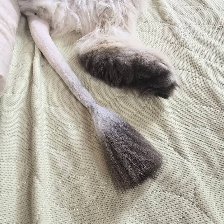 77920266 cc85 4053 9838 2520522741b5 1749513605465