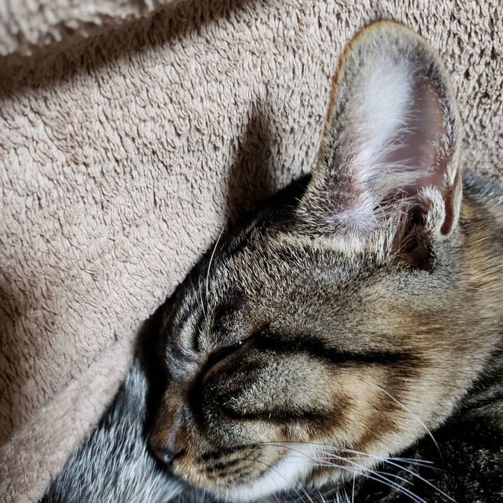 77921639 1cdd 49b8 b4ce 50074edf1675 1546627583938